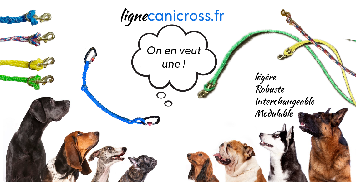 ligne-canicross-fr-on-en-veut-une-17-18
