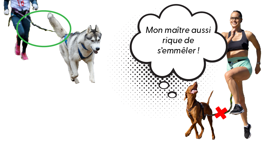 planche-ligne-toundra-07