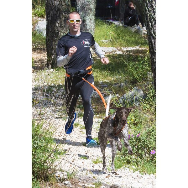 Photos d'un coureur en compétition et de son chien équipés de la gamme de harnais, laisse, ligne de trait et ceinture canisport de marque idog vue de face