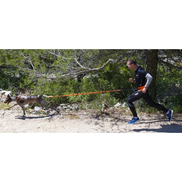 Photos d'un coureur en entraînement et de son chien équipés de la gamme de harnais, laisse, ligne de trait et ceinture canisport de marque idog en montagne vue de côté