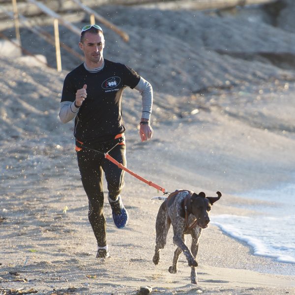 Photos d'un coureur en entraînement et de son chien équipés de la gamme de harnais, laisse, ligne de trait et ceinture canisport de marque idog au bord de l'eau
