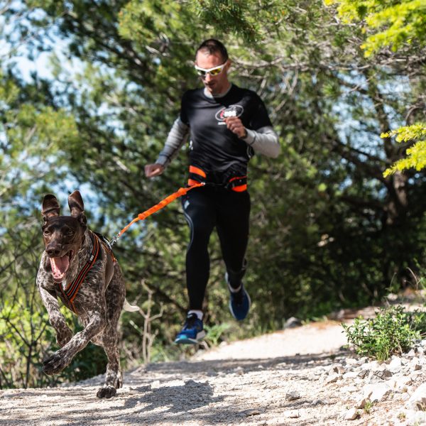 Photos d'un coureur en compétition et de son chien équipés de la gamme de harnais, laisse, ligne de trait et ceinture canisport de marque idog