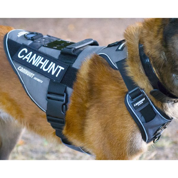 Un chien portant un Harnais technique de la marque CANIHUNT gamme Security